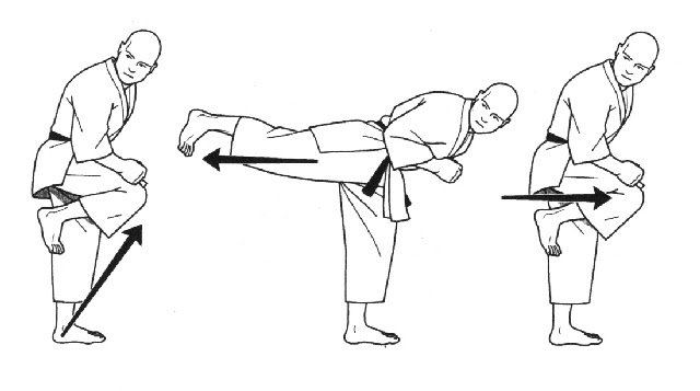 Leg and Kicking Techniques