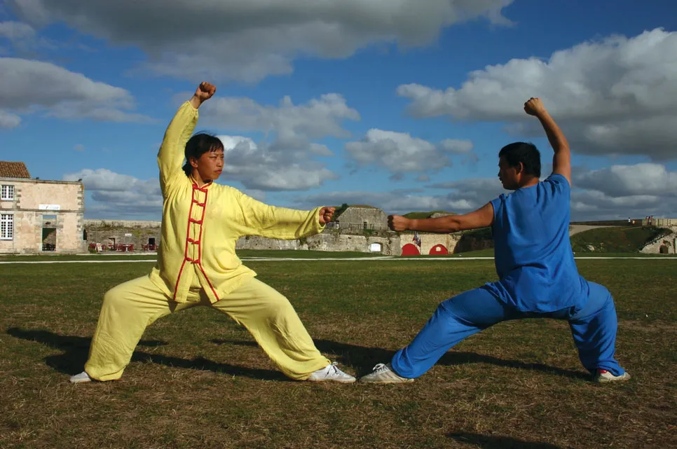 The History and Evolution of Kung Fu Styles